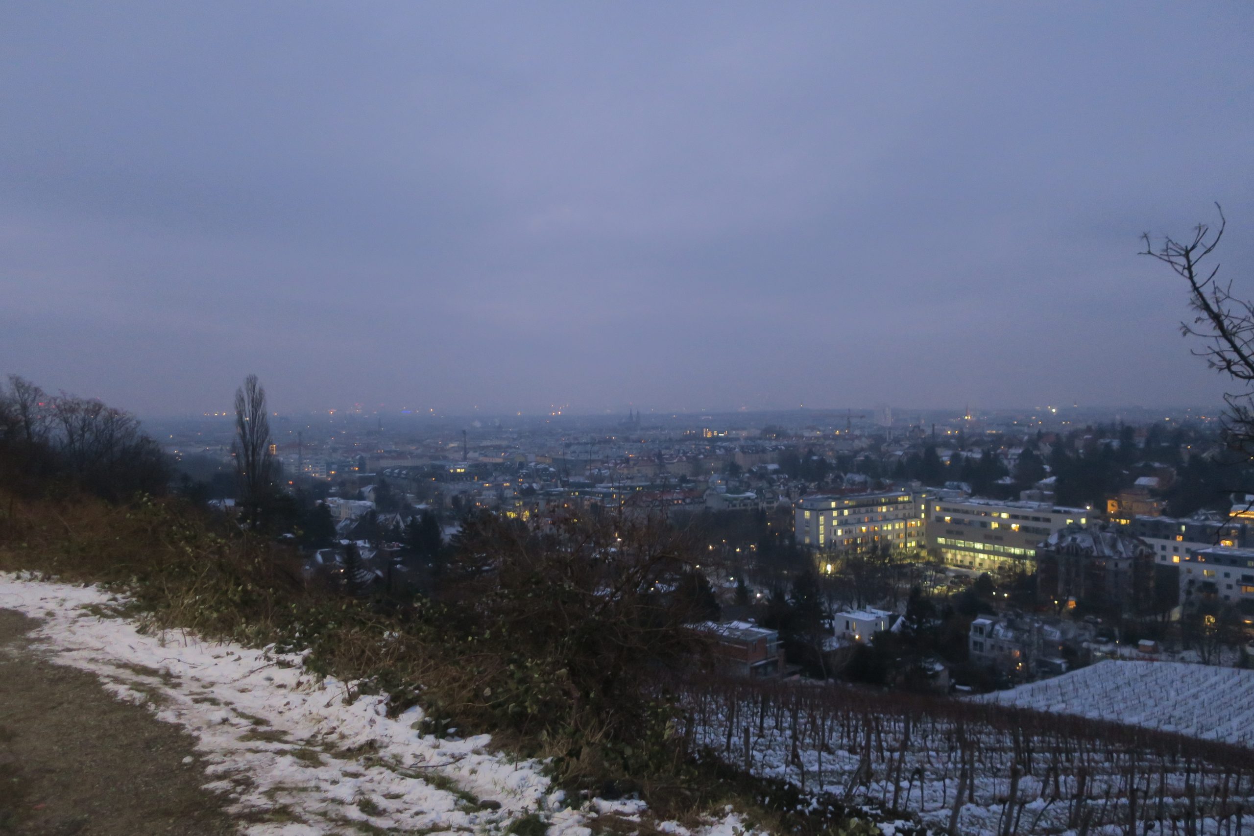 Der Paul Lange Lauf