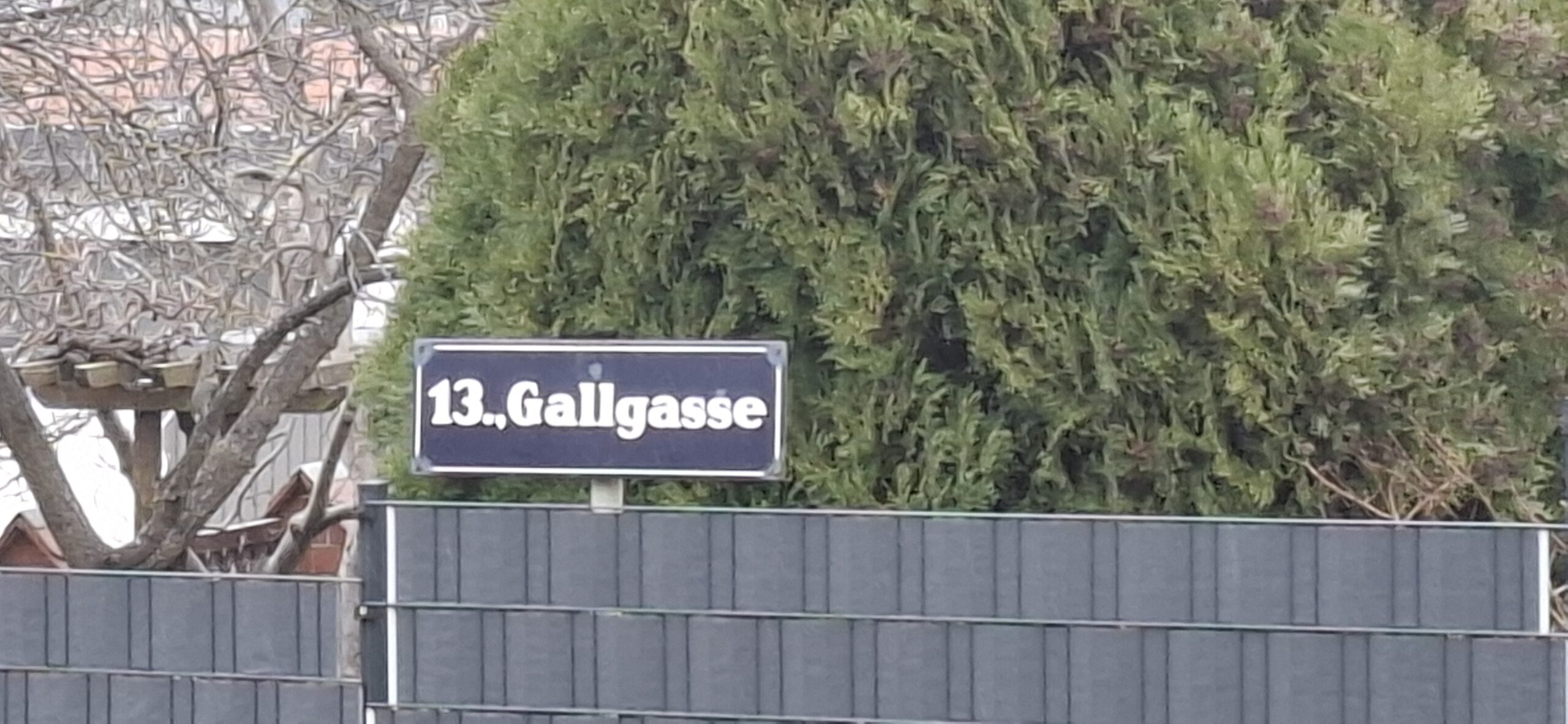 Der Karl Gall Lauf