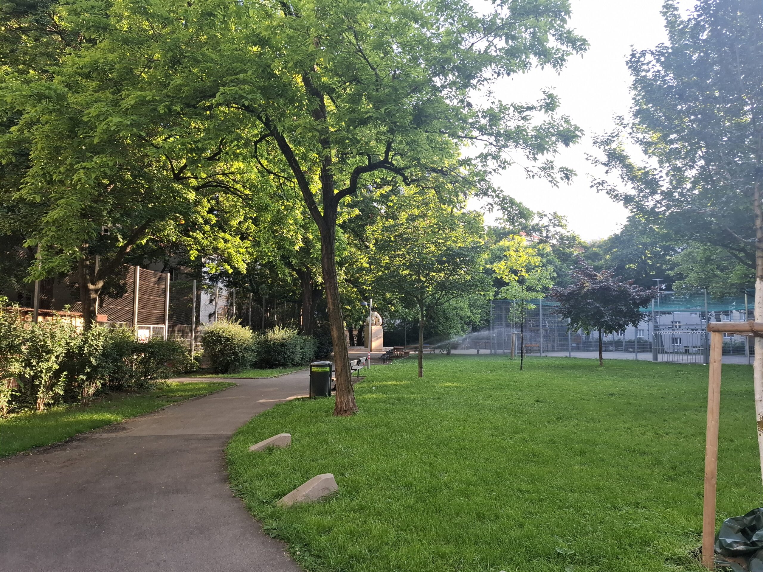Der Kurt Landsteiner Lauf