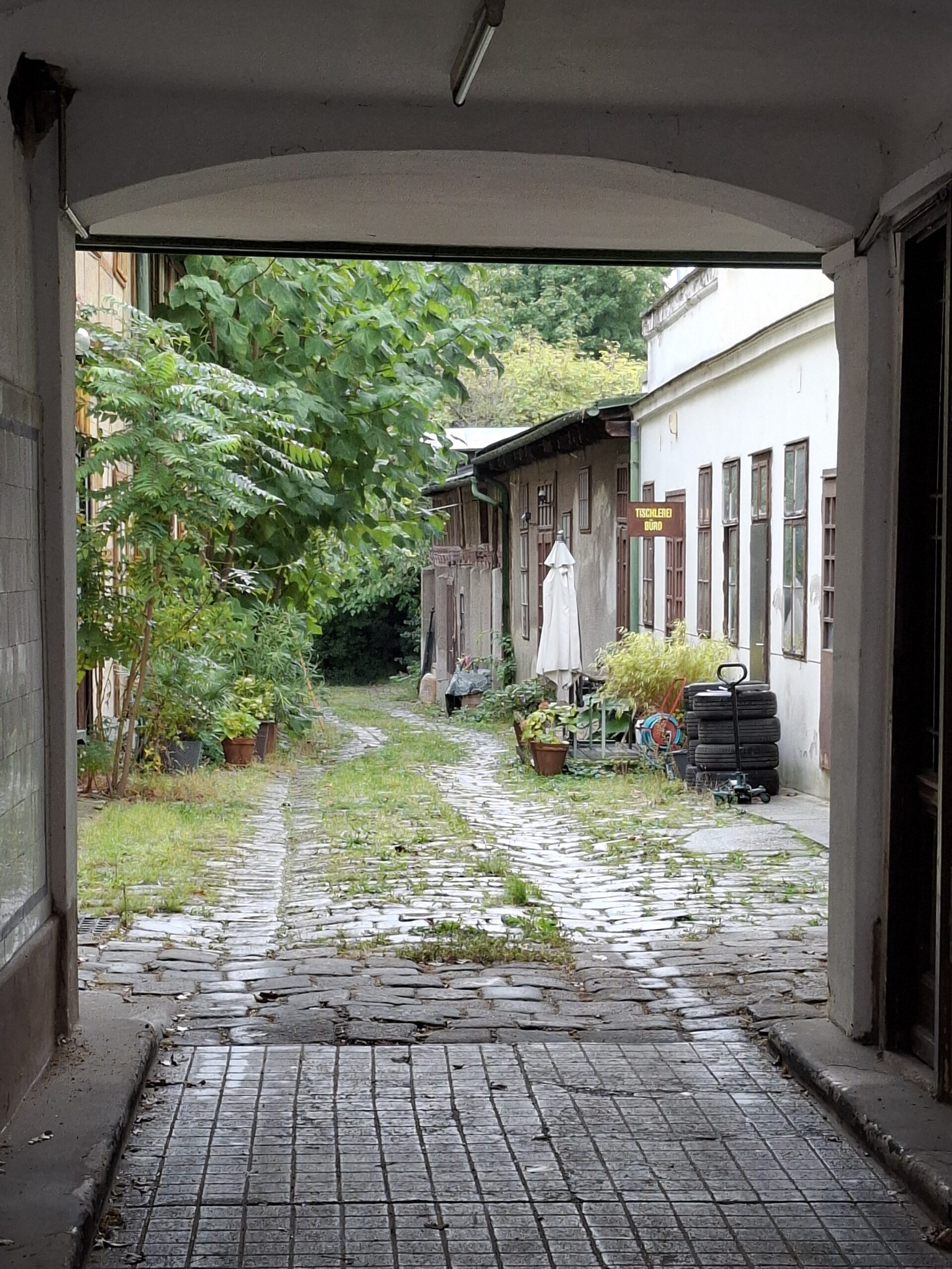 Der Brigitte Rollett Lauf