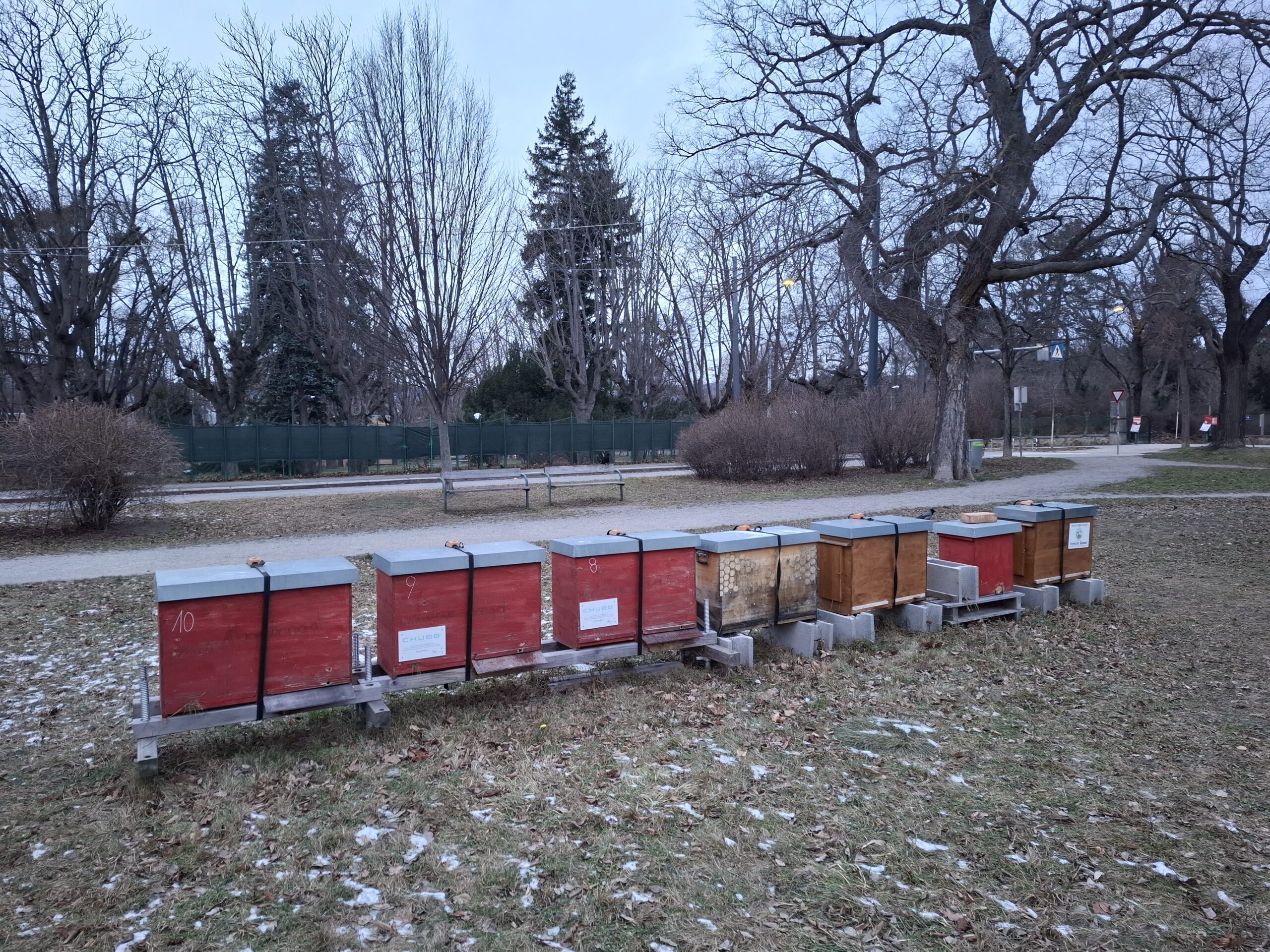 Der Josef Kainz Lauf