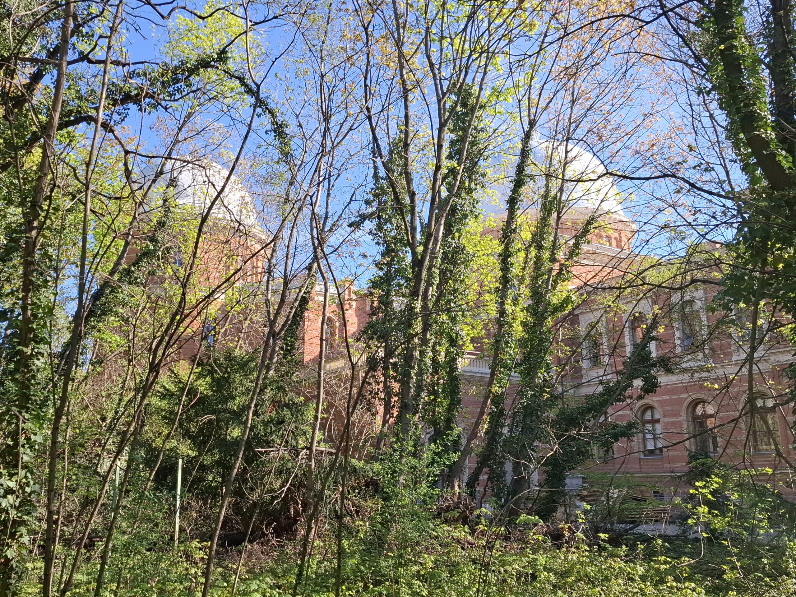 Der Alberta von Maytner Lauf