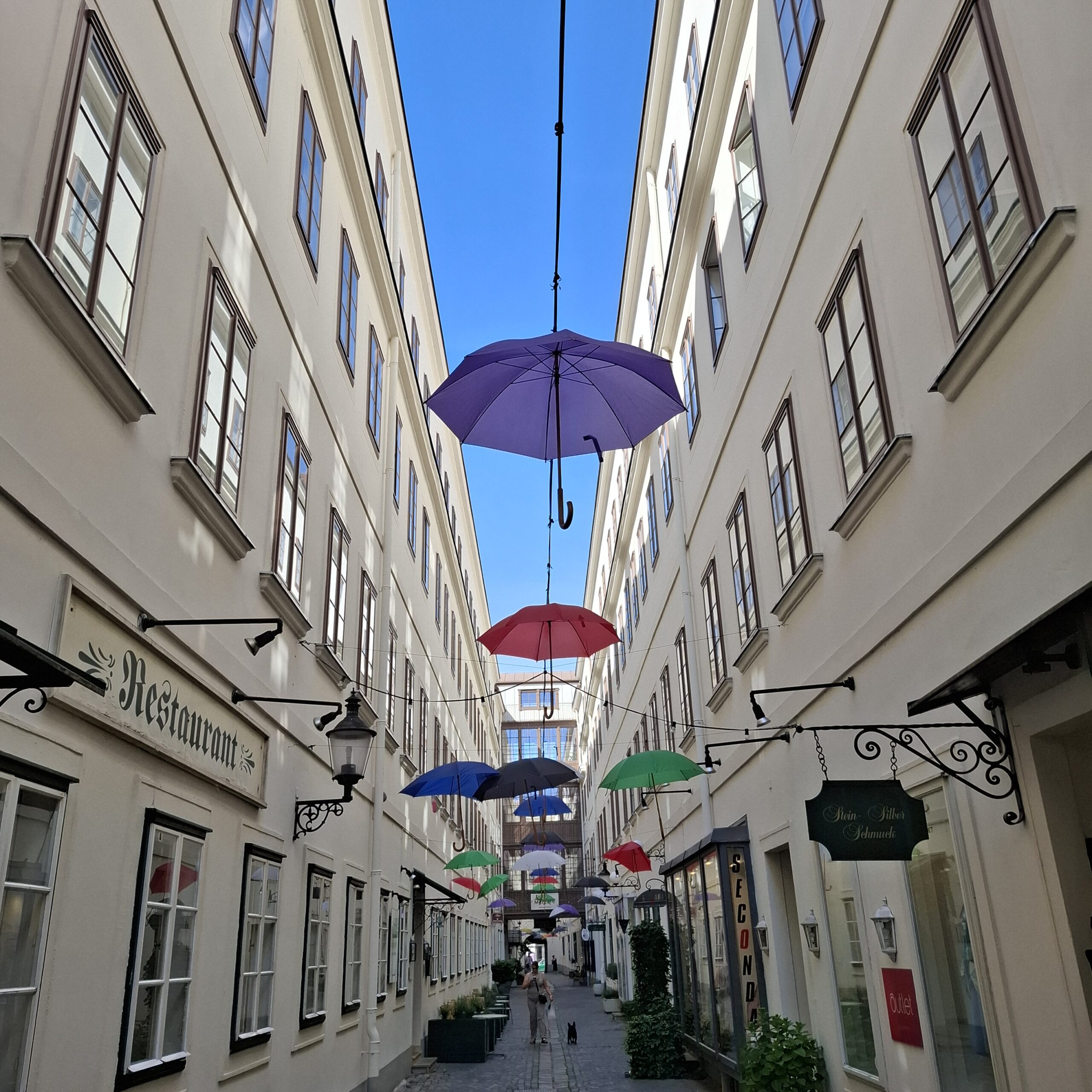 Der Rega Kreidl Lauf